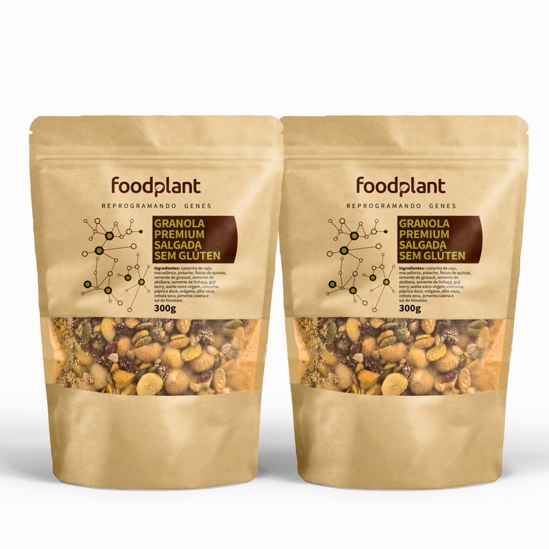 Kit Duas Granolas Premium Salgada 300g